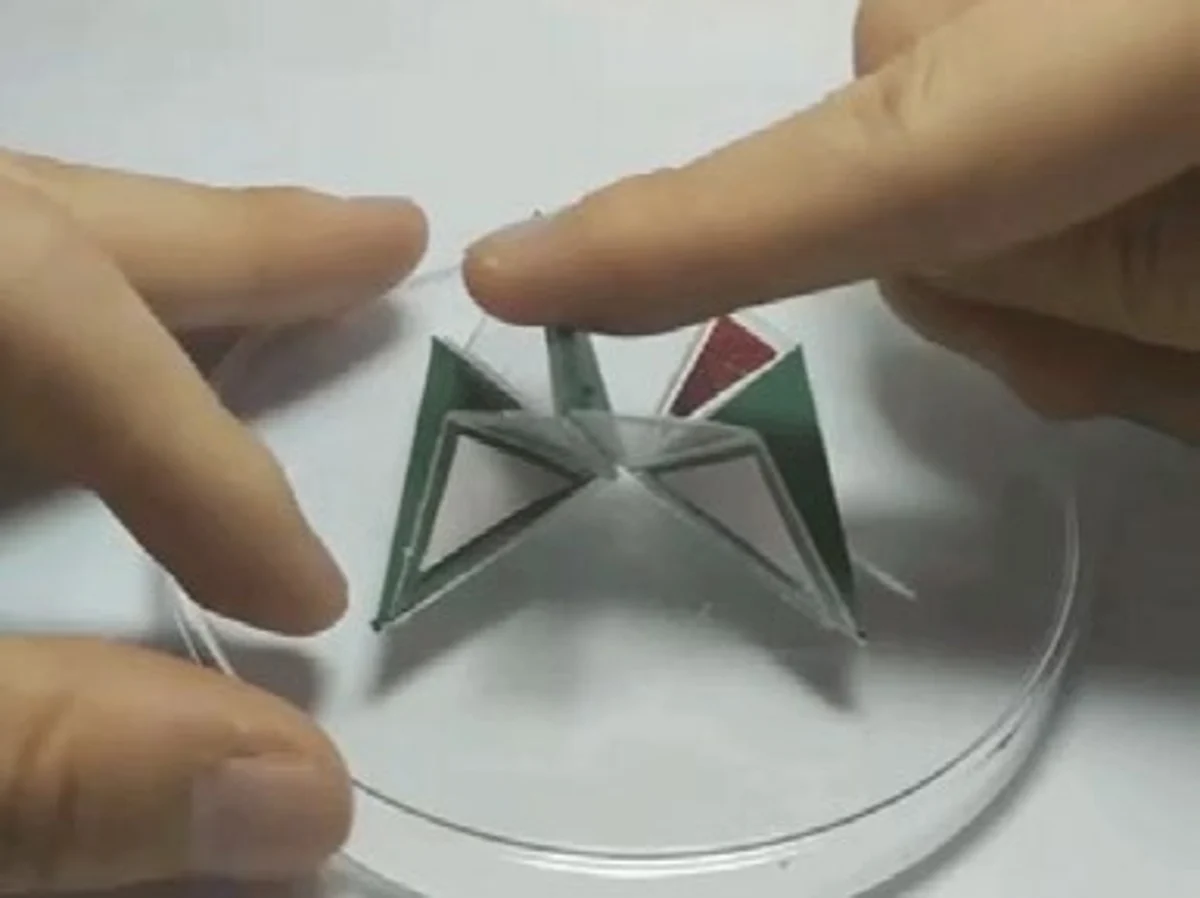 Folded adaptive-ankle mechanism during manual manipulation.