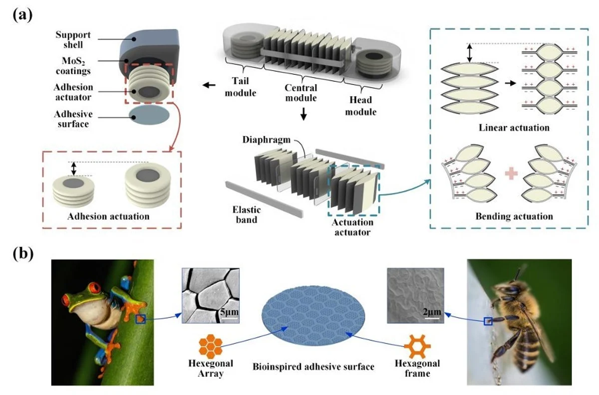 Electrohydraulic soft robot architecture and bioinspired friction pads