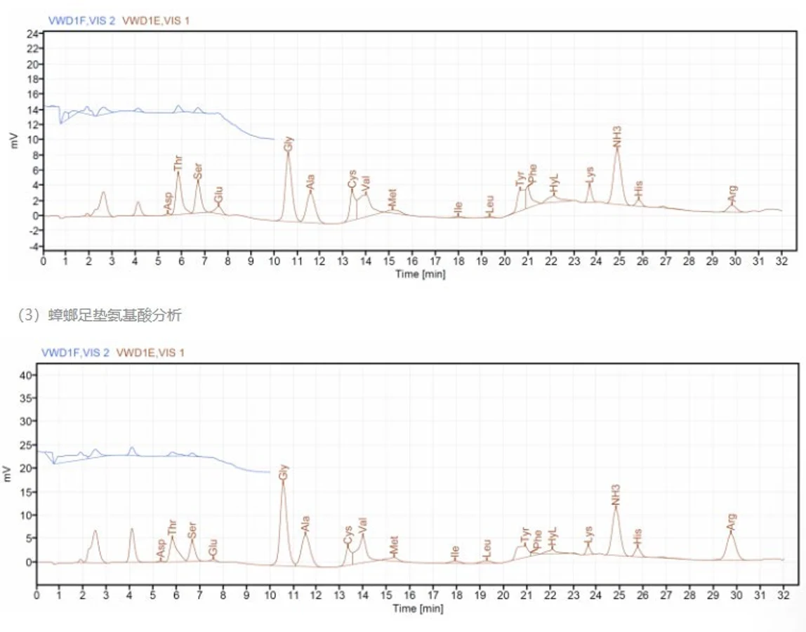 Chromatographic traces shown in the presentation.