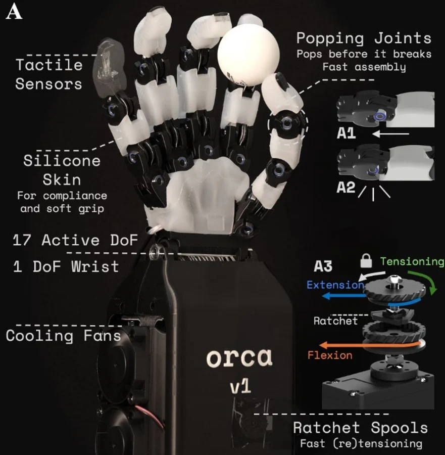 Reference diagram of the open-source ORCA hand. This is the platform illustration used for the design study, not a photograph of the reproduced hand.