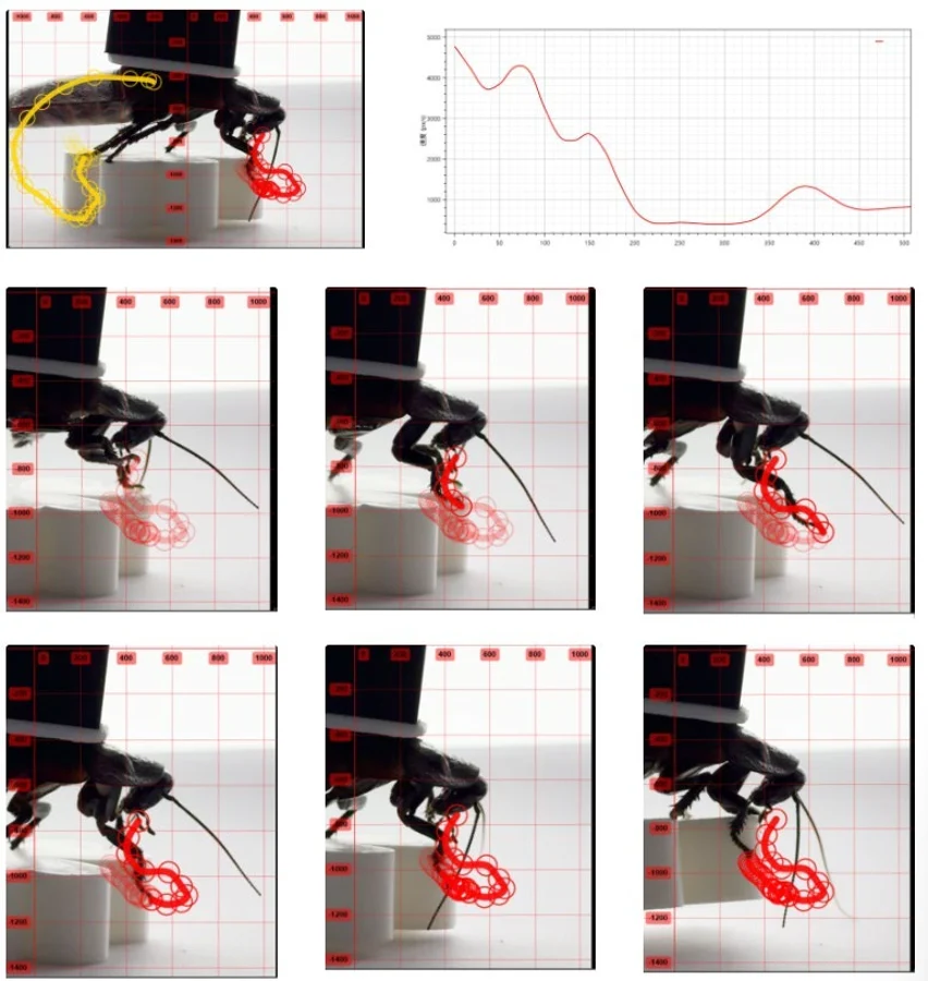 Motion-tracking frames and the associated trajectory plot.
