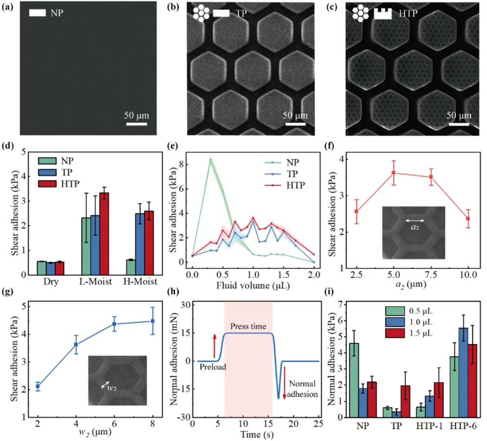 Surface characterization and comparative adhesion measurements.