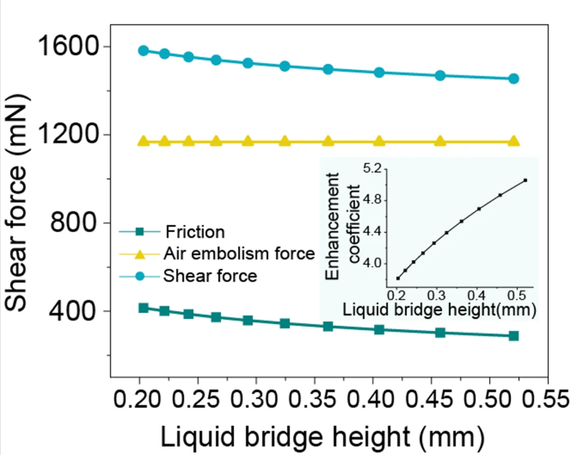Shear response as a function of liquid-bridge height.