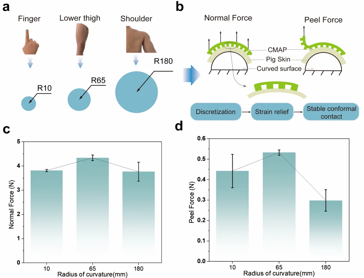 Curvature-adaptive contact and adhesion measurements.