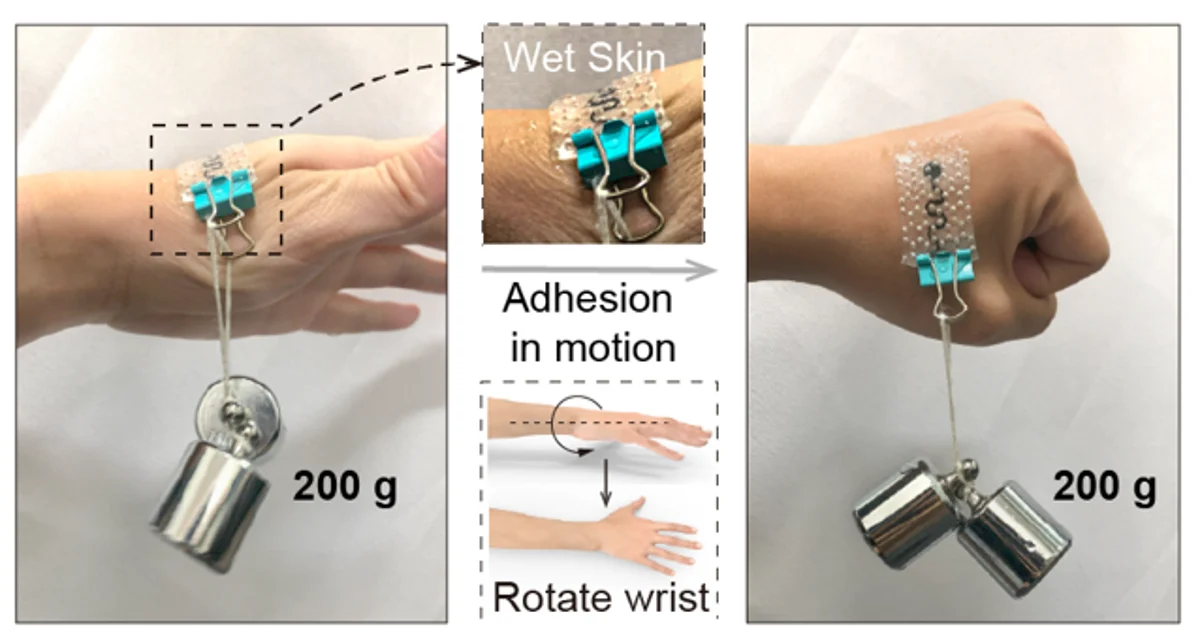 Attachment on wet skin during wrist rotation and a 200 g load test.
