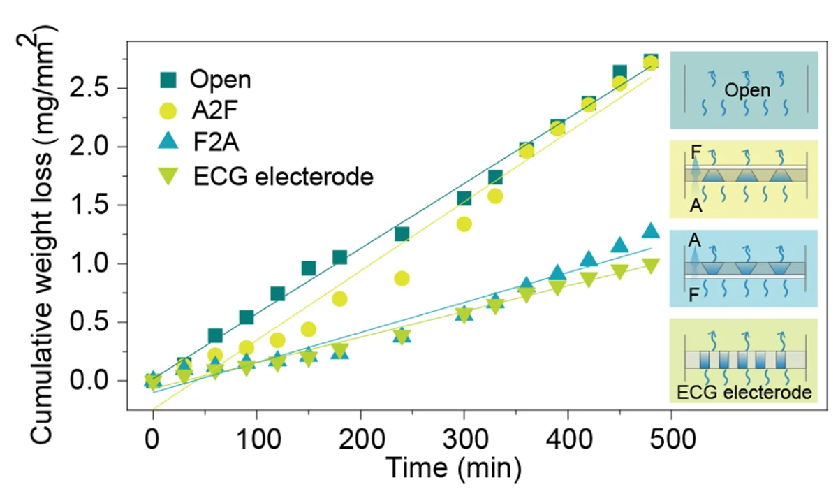 Water-loss measurements for the compared interfaces.