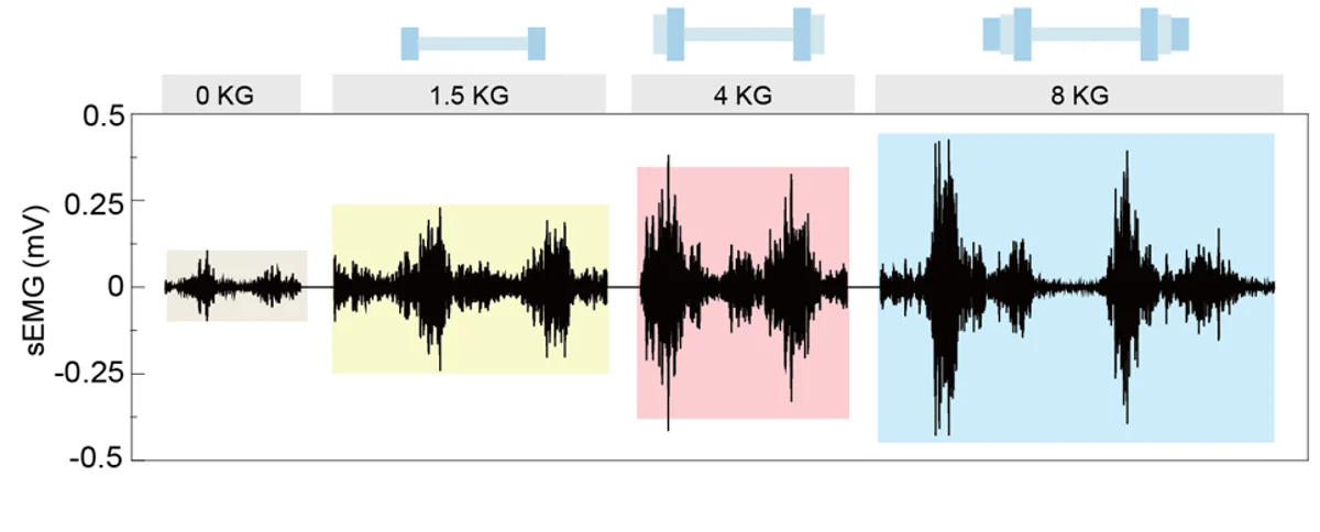 EMG traces during lifting at different loads.